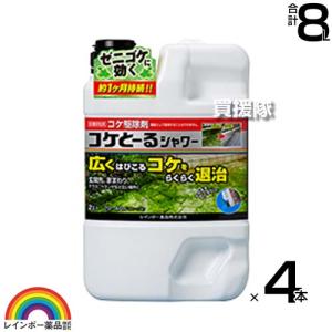 レインボー薬品 コケとーるシャワー 2L×4本