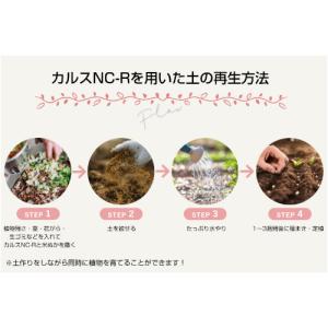 カルス NC-R 1kg 粉状 リサール酵産 ...の詳細画像4