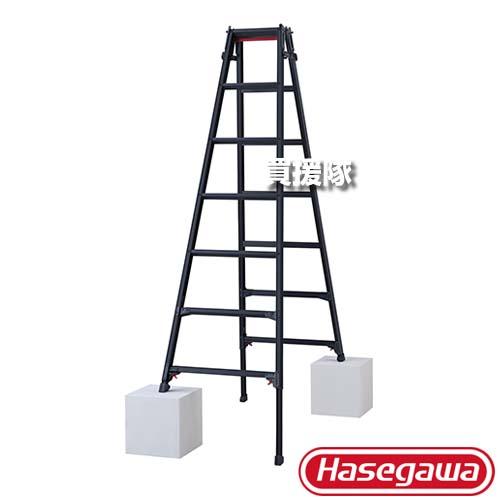 長谷川工業 脚部伸縮式 脚立 はしご兼用 ブラックレーベル RYZB-21a