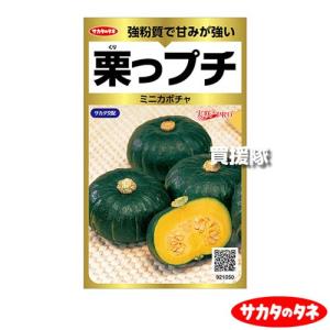 サカタのタネ ミニカボチャ 栗っプチ 約25粒 実咲野菜 ProGold 00921050｜truetools