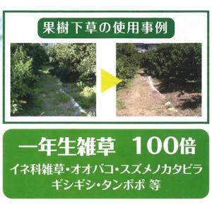 サンフーロン 除草剤 5L 4本セット 除草 ...の詳細画像2