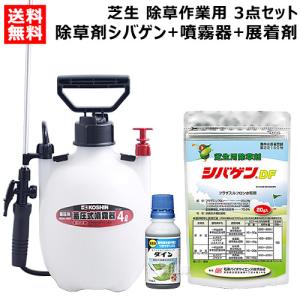 除草剤 シバゲン 工進 噴霧器 4L HS-401E 展着剤ダイン100ml 芝生 除草作業用 3点セット