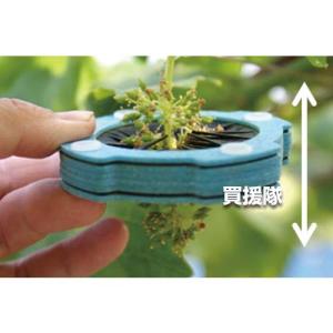 サボテン ぶどうの花冠取り器ver.2 (2ヶ...の詳細画像3