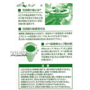 サボテン ぶどうの花冠取り器ver.2 (2ヶ...の詳細画像5