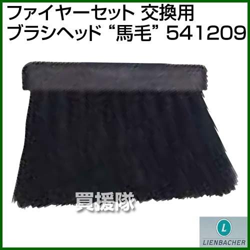 （P5倍）（クーポンで1000円OFF）（3月11日まで）Lienbacher ファイヤーセット 交...