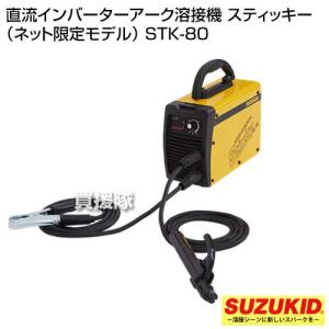 アーク溶接機 100V スズキッド (ネット限...の詳細画像1