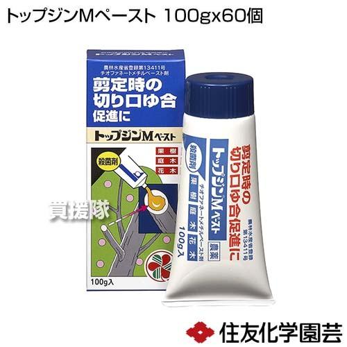 住友化学園芸 トップジンMペースト 100g×60個