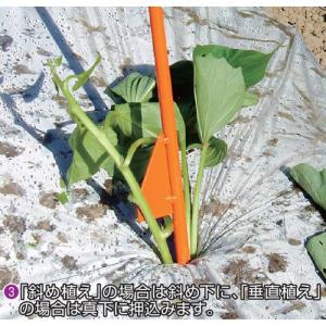 サンエー カンショ植え付け器 さすけ AP-02の詳細画像5