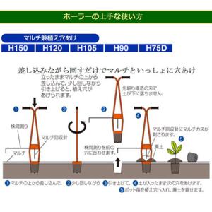 (ポイント5倍)サンエー 植穴あけ器 ホーラー...の詳細画像2