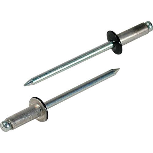 ロブテックス エビ カラーブラインドリベット ブラック アルミ/スティール製 5-4 50本入 エコ...