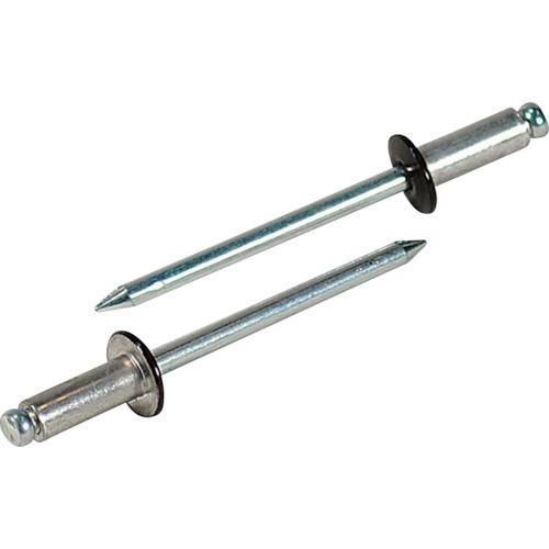 ロブテックス エビ カラーブラインドリベット ブロンズ アルミ/スティール製 5-4 50本入 エコ...