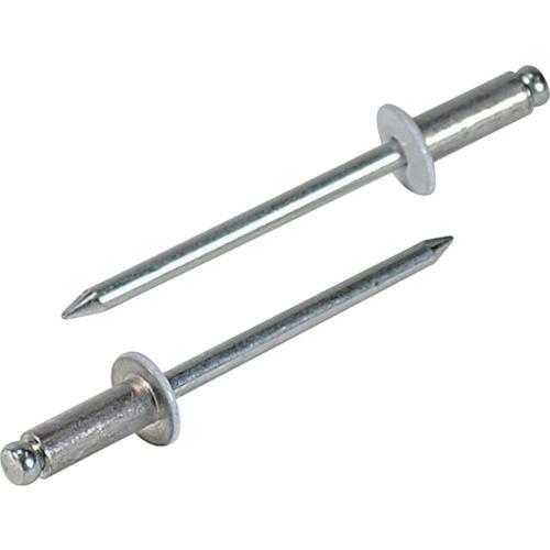 ロブテックス エビ カラーブラインドリベット ホワイト アルミ/スティール製 5-4 50本入 エコ...