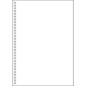ヒサゴ FSC認証 マルチプリンタ帳票 A4 白紙 30穴 FSC2049Z 期間限定 ポイント10倍｜truetools