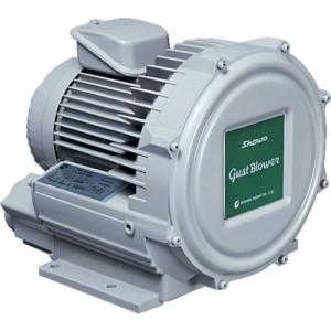 SDG 昭和 電動送風機 渦流式高圧シリーズ ガストブロアシリーズ 0.75kW U2V-70S 期間限定 ポイント10倍
