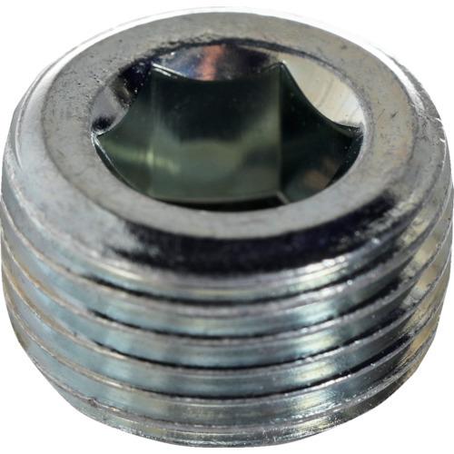 トラスコ中山 TRUSCO テーパープラグ 沈み ユニクロ PT1/4 80本入 ヘキサゴンパック ...