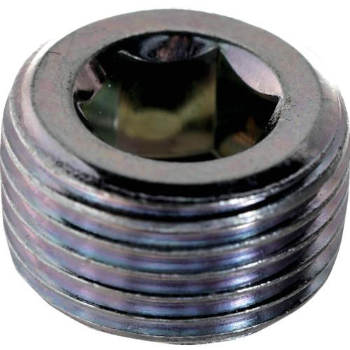 トラスコ中山 TRUSCO テーパープラグ 沈み 三価白PT1/4 80本入 ヘキサゴンパック S0...