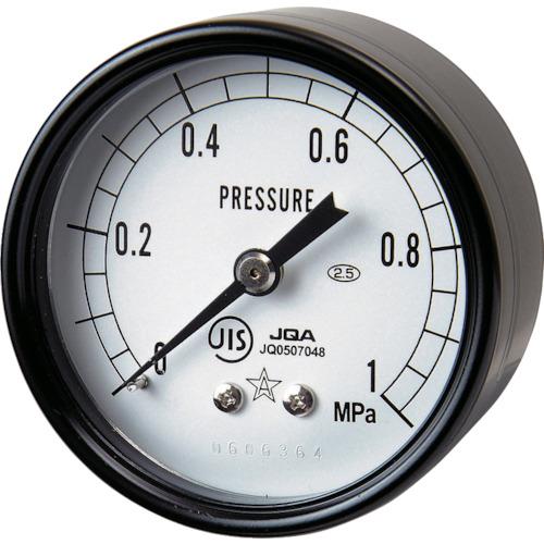 右下 圧力計 DT R1/4×50×0.25MPa S-130-R-0.25MPA 期間限定 ポイン...