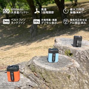 (P5倍)(最大1000円OFFクーポン)限定...の詳細画像1