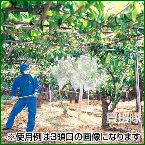 (ポイント5倍)ヤマホ 新広角山梨2頭口 動噴用噴口の詳細画像1