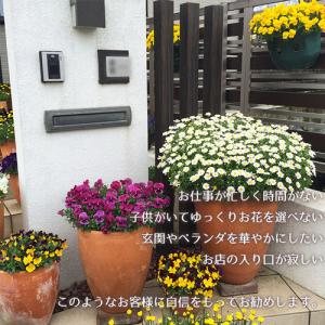 (P5倍)(クーポンで1000円OFF)(25...の詳細画像2