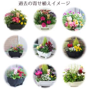 (P5倍)(クーポンで1000円OFF)(25...の詳細画像3