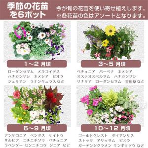 (P5倍)(クーポンで1000円OFF)(25...の詳細画像4