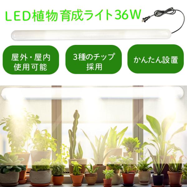 LED植物育成ライト  富士倉 KY-36W-SC 防水 蛍光灯式