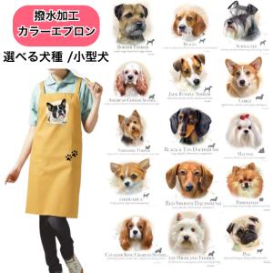 犬と動物 トラストワンポイント - Yahoo!ショッピング