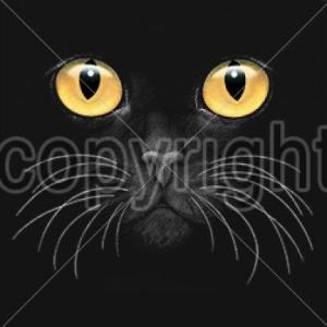 キャット スウェット フルジップパーカー (７５） ネコ 猫 ゴールドアイ ブラックキャット 猫プリ...