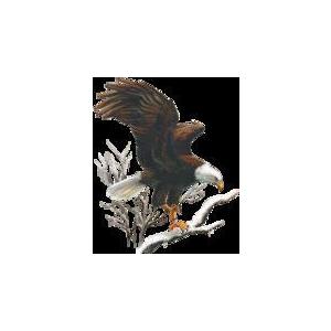 鳥 イーグル Eagle 鷲 白頭鷲 １１ D 猛禽類 トートバッグ エコバッグ マイバッグかわいい おしゃれ レディース メンズ 男女兼用 大きめ キャンバス 動物 犬と動物 トラストワンポイント 通販 Yahoo ショッピング