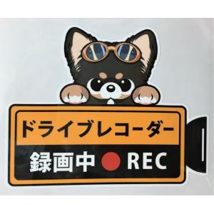 犬 チワワ ロングヘアー ブラックタン ブラタンドライブレコーダー録画中 犬種別 外張りステッカー（チワワ１）ドラレコ ステッカー ドッグ イヌ いぬ 車 雑貨｜trust-wanpoint