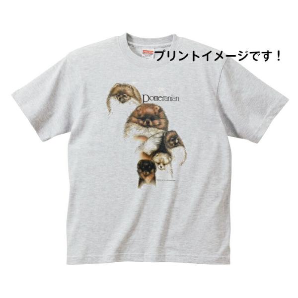 ポメラニアン (集合) tシャツ 半袖 カットソー 丸首型 クルーネック 綿100% コットン トッ...