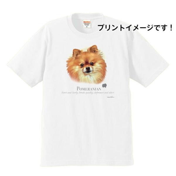 ポメラニアン (NEW) tシャツ 半袖 カットソー 丸首型 クルーネック 綿100% コットン ト...