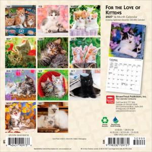 【送料無料】 キトン 子猫 カレンダー ミニサ...の詳細画像1