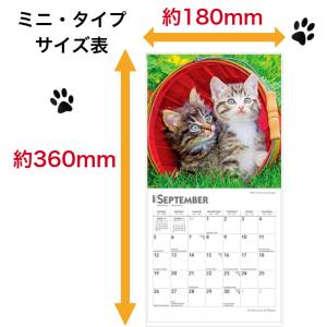 【送料無料】 キトン 子猫 カレンダー ミニサ...の詳細画像4