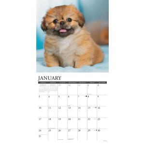 ペキニーズ カレンダー 月めくり 2027年 ...の詳細画像2