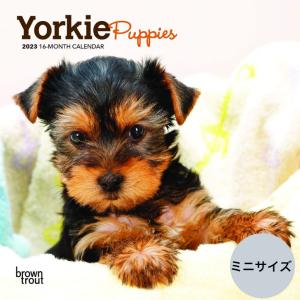 送料無料 ヨークシャーテリア パピー ヨーキー ミニサイズ 壁掛け カレンダー 23年 令和5年 暦 犬 いぬ ドッグ 動物 ペット 月めくり 犬種カレンダー 23b440 犬と動物 トラストワンポイント 通販 Yahoo ショッピング