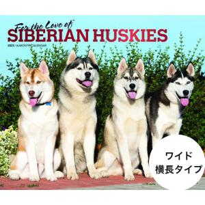 シベリアンハスキー カレンダー 2023年 令和5年 暦 動物 ペットカレンダー 犬種別カレンダー 犬 ドッグ dog
