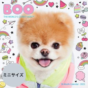 【送料無料】ポメラニアン Boo【ミニサイズ/壁掛け】 カレンダー 2023年 令和5年 動物 暦 犬 いぬ ドッグ dog DOG 動物 ペット 月めくり 犬種カレンダー