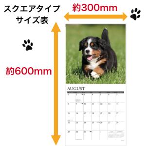 ビーグル パピー カレンダー 月めくり 202...の詳細画像3
