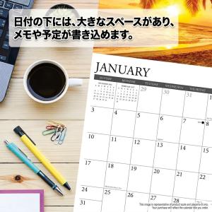 ビーグル カレンダー 月めくり 2027年 壁...の詳細画像4
