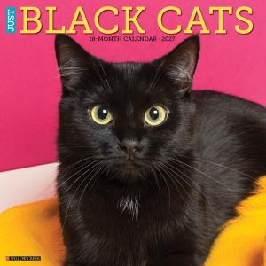 ブラックキャット 黒猫 カレンダー 2027年 月めくり 壁掛け 令和9年 暦 猫 ねこ ネコ キャット WILLOW CLEEK プレゼント クリスマス トラストワンポイント｜犬と動物 トラストワンポイント