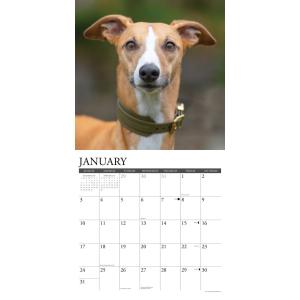 ウイペット カレンダー 月めくり 2027年 ...の詳細画像2