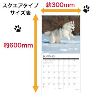 ウイペット カレンダー 月めくり 2027年 ...の詳細画像3