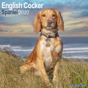 イングリッシュコッカー スパニエル カレンダー 2027年 壁掛け 月めくり 中綴じ 犬 犬種別 令和9年 Avonside プレゼント クリスマス トラストワンポイント