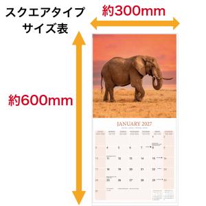 ゾウ エレファント カレンダー 2027年 月...の詳細画像3