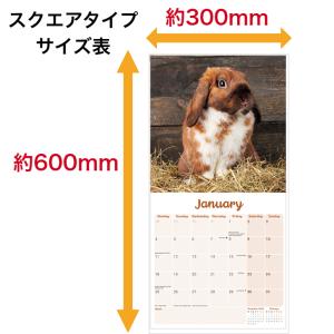 ウサギ うさぎ たれ耳 カレンダー 2027年...の詳細画像3