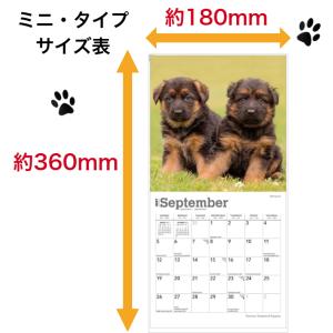 【送料無料】 ジャーマンシェパード パピー カ...の詳細画像4