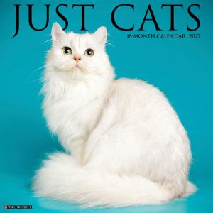 キャット カレンダー 2027年 月めくり 壁掛け 令和9年 暦 猫 ねこ ネコ cat WILLOW CLEEK プレゼント ギフト 誕生日 クリスマス トラストワンポイント