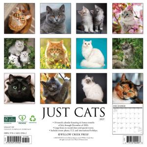キャット カレンダー 2027年 月めくり 壁...の詳細画像1